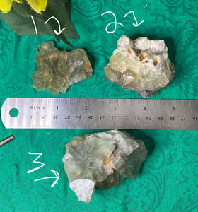 Fluorite- Green Fluorite Specimens from El Hamman! Some with druzy! (A600/A601/A603)