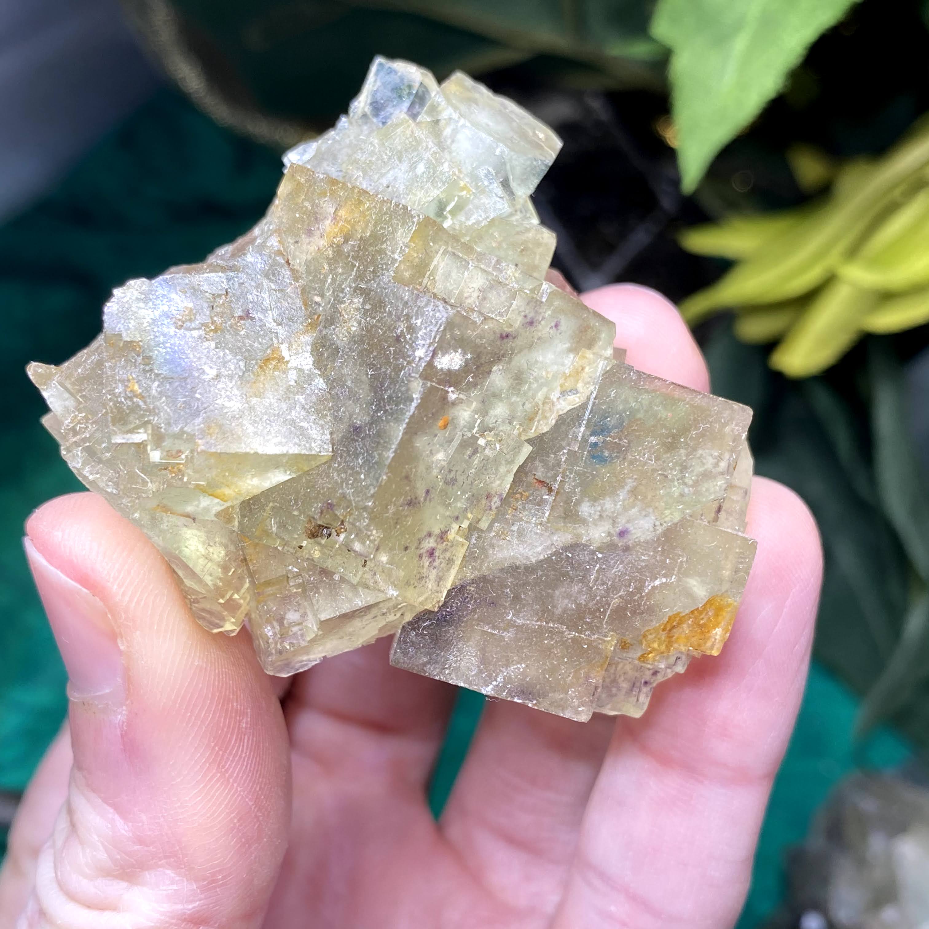 Fluorite- Green Fluorite Specimens from El Hamman! Some with druzy! (A600/A601/A603)