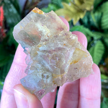 Load image into Gallery viewer, Fluorite- Green Fluorite Specimens from El Hamman! Some with druzy! (A600/A601/A603)
