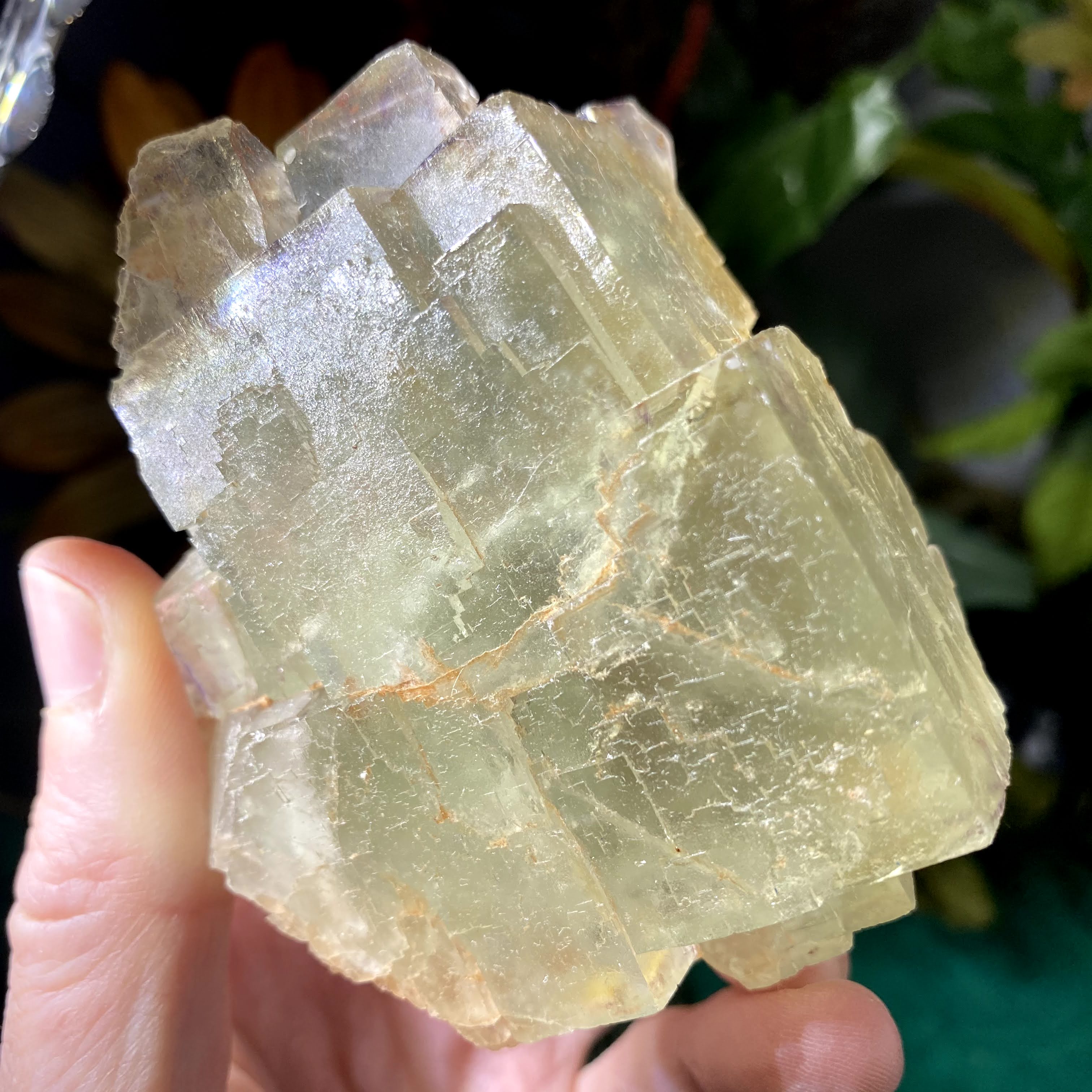 Fluorite- Green Fluorite Specimen from El Hammam (A605)