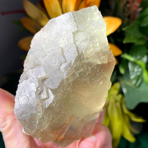 Fluorite- Green Fluorite Specimen from El Hammam (A604)