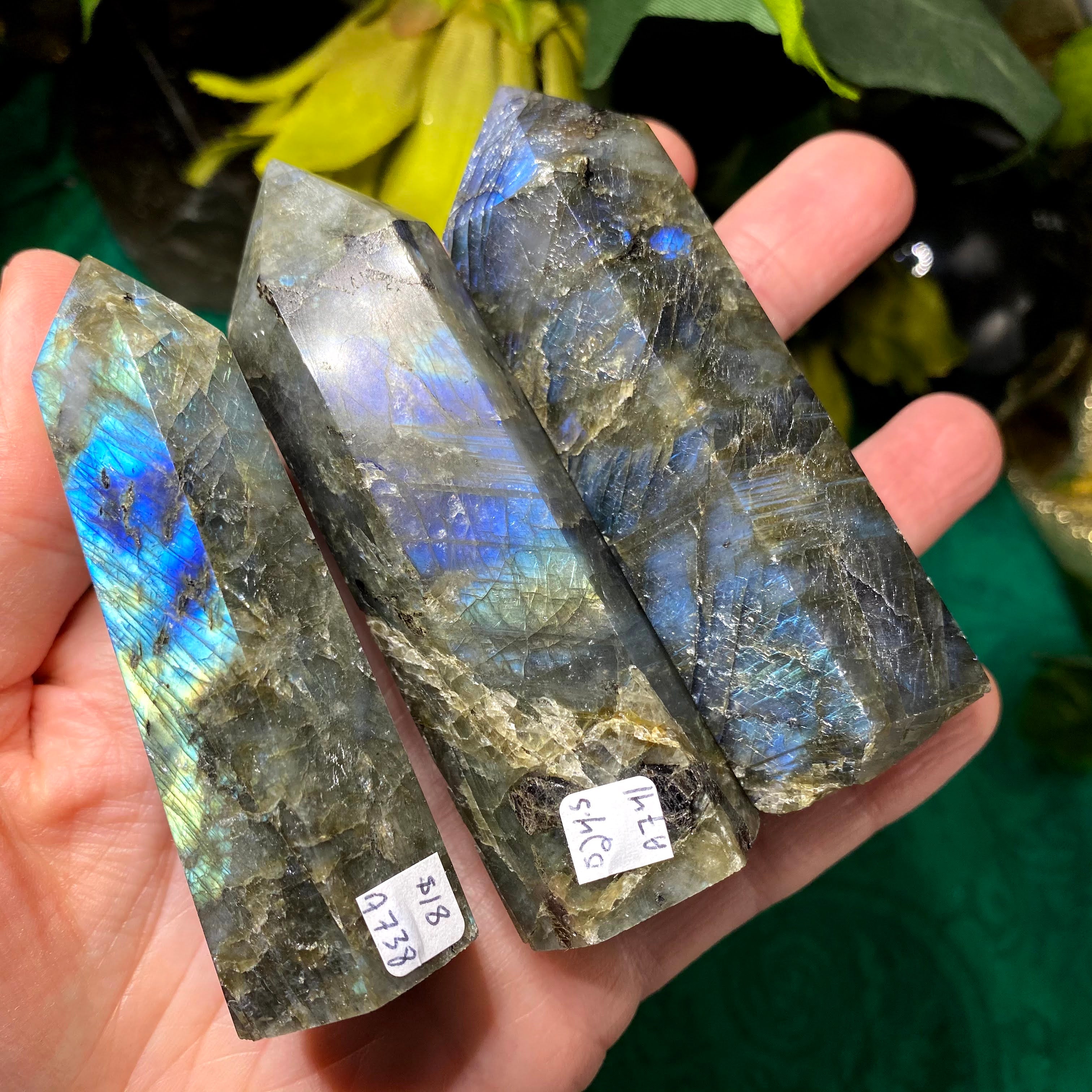 Enchanted Earth Minerals