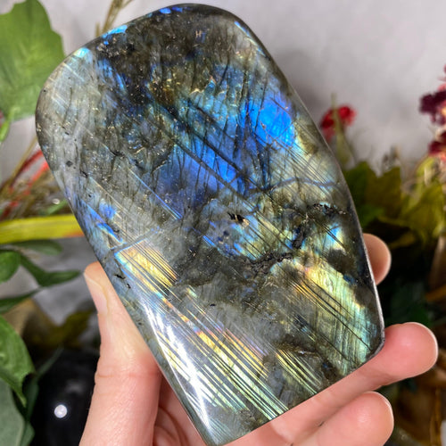 Labradorite - Cosmic Labradorite FLASHY Free Form!! #C330