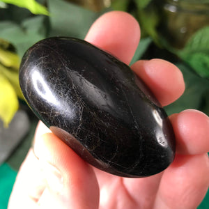 Black Tourmaline Palm Stones MED!