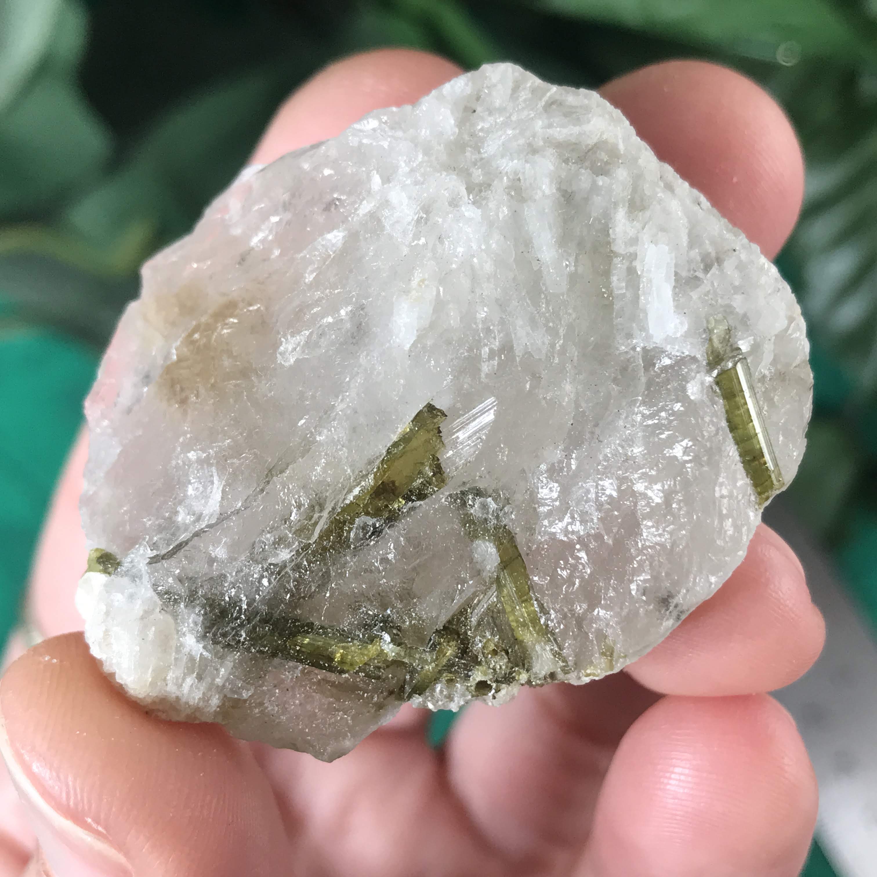 Green Tourmalinated Quartz! Small raw specimens!