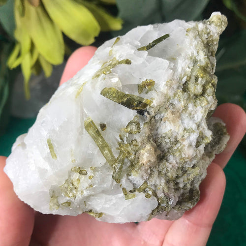 Green Tourmalinated Quartz! Bright Green Tourmaline Covered Super Lovely Specimen!