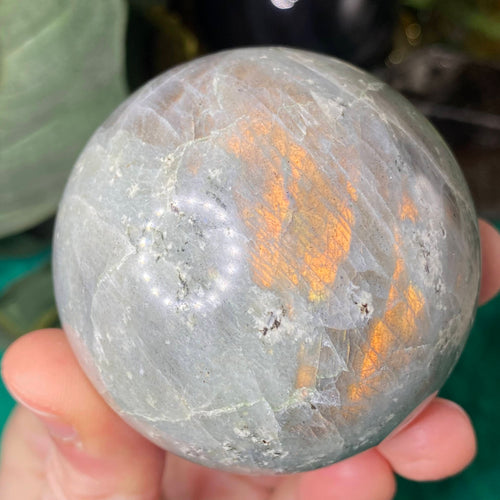 Labradorite - Sunset Orange Flash Labradorite 60mm Sphere! (C466)