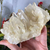 Clear Quartz - Large Clear Quartz Gorgeous Heavenly Cluster! (B854)