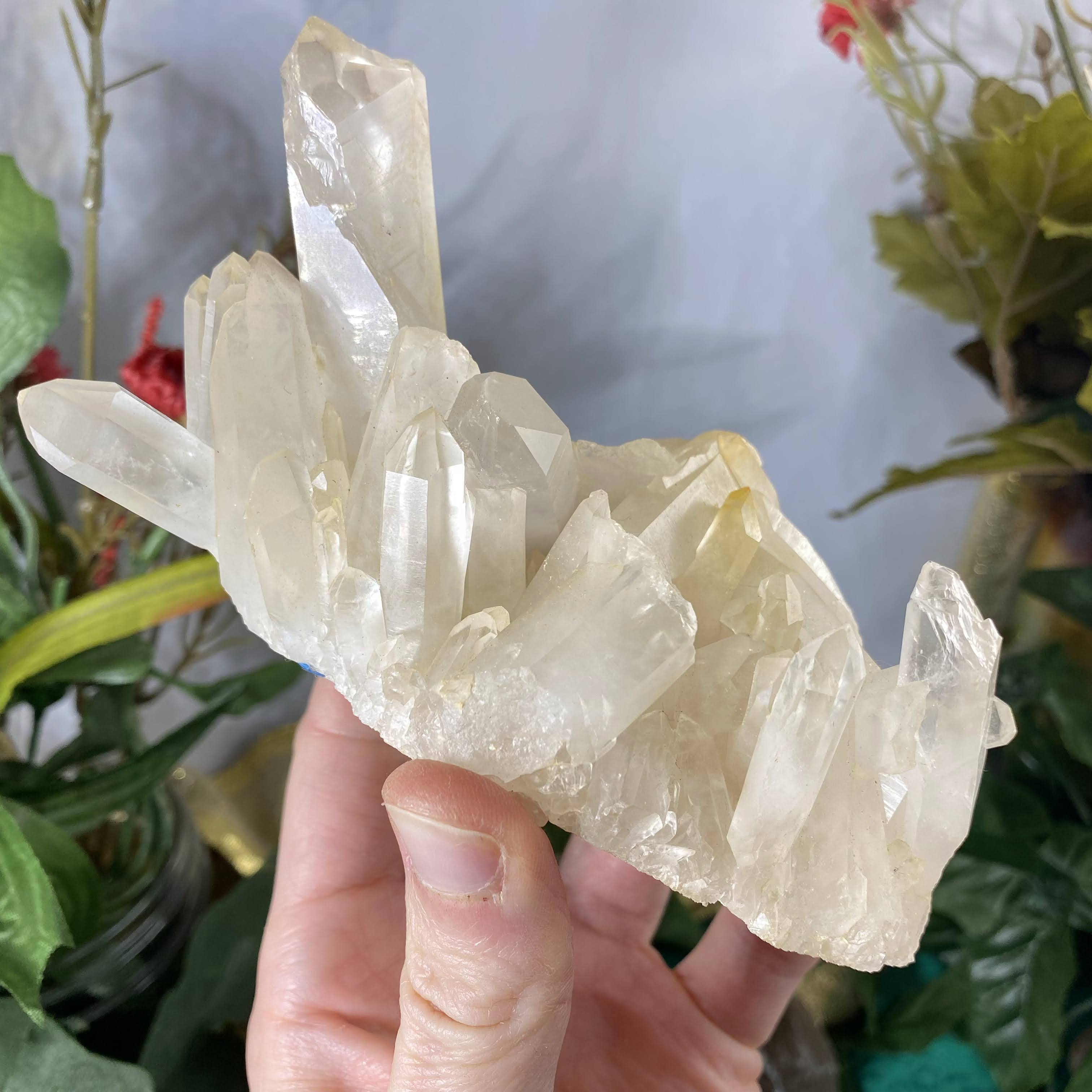 Clear Quartz - Clear Quartz Super Sweet Cluster! (B855)