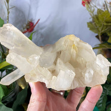 Load image into Gallery viewer, Clear Quartz - Clear Quartz Super Sweet Cluster! (B855)