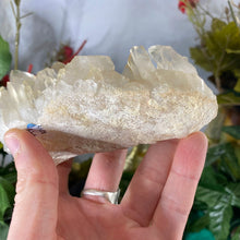 Load image into Gallery viewer, Clear Quartz - Clear Quartz Super Sweet Cluster! (B855)