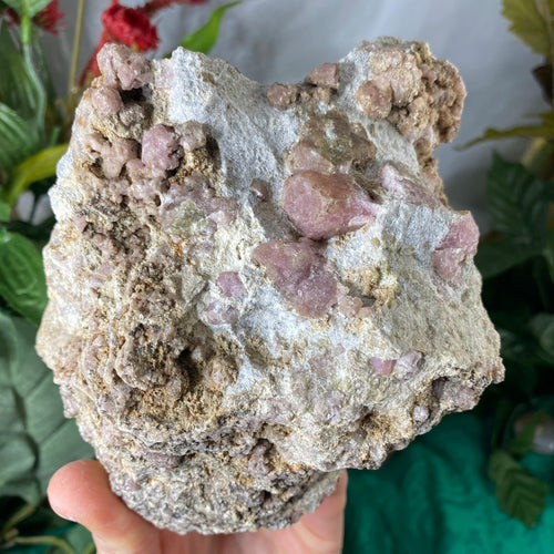 Garnet (Grossular) - Large Beautiful Pink Grossular Garnet in Matrix (B308)