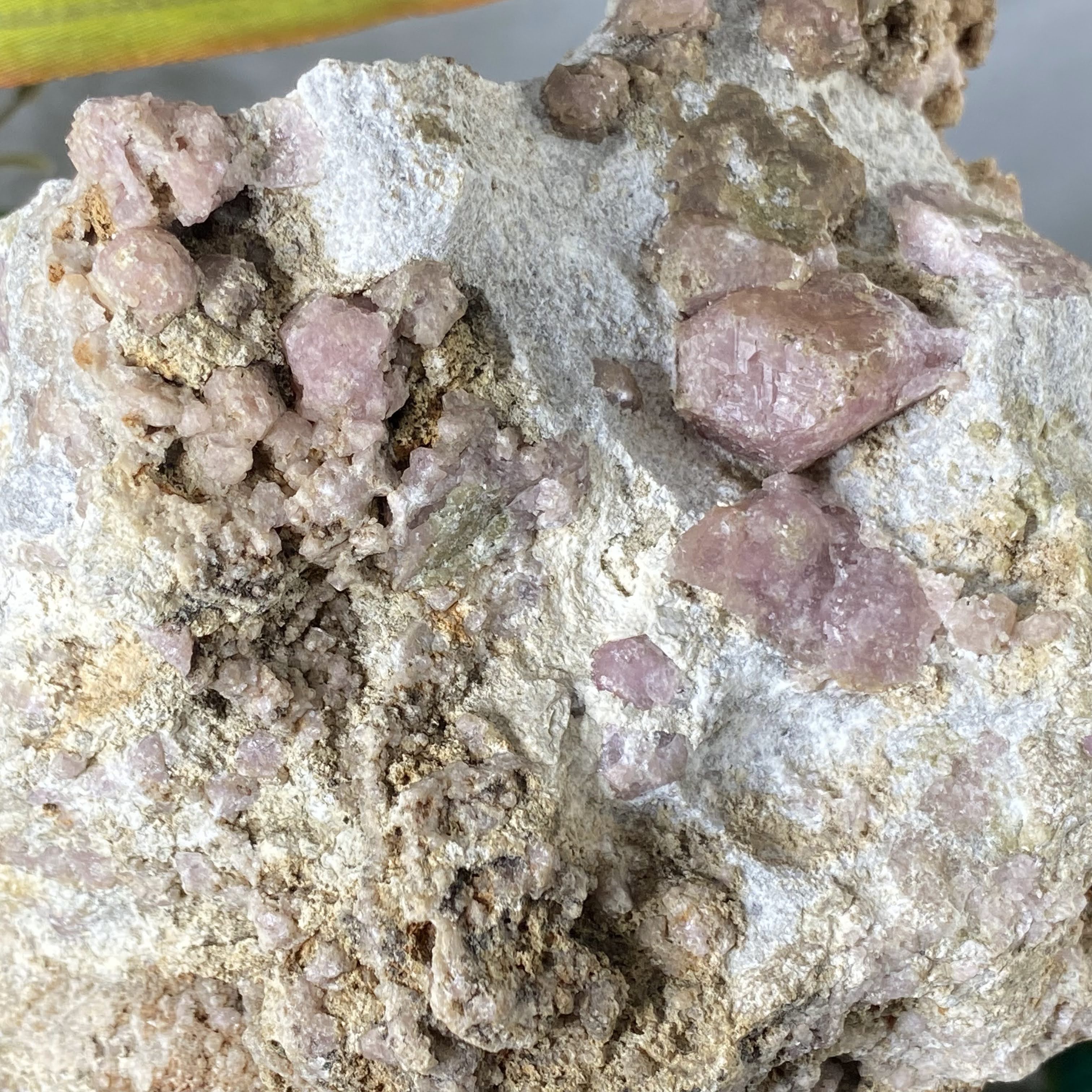 Garnet (Grossular) - Large Beautiful Pink Grossular Garnet in Matrix (B308)