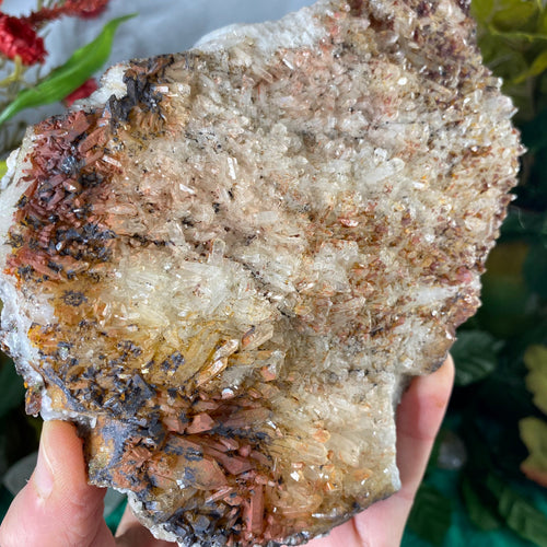 Hematoid Quartz Cluster Mineral Display Specimen! #65