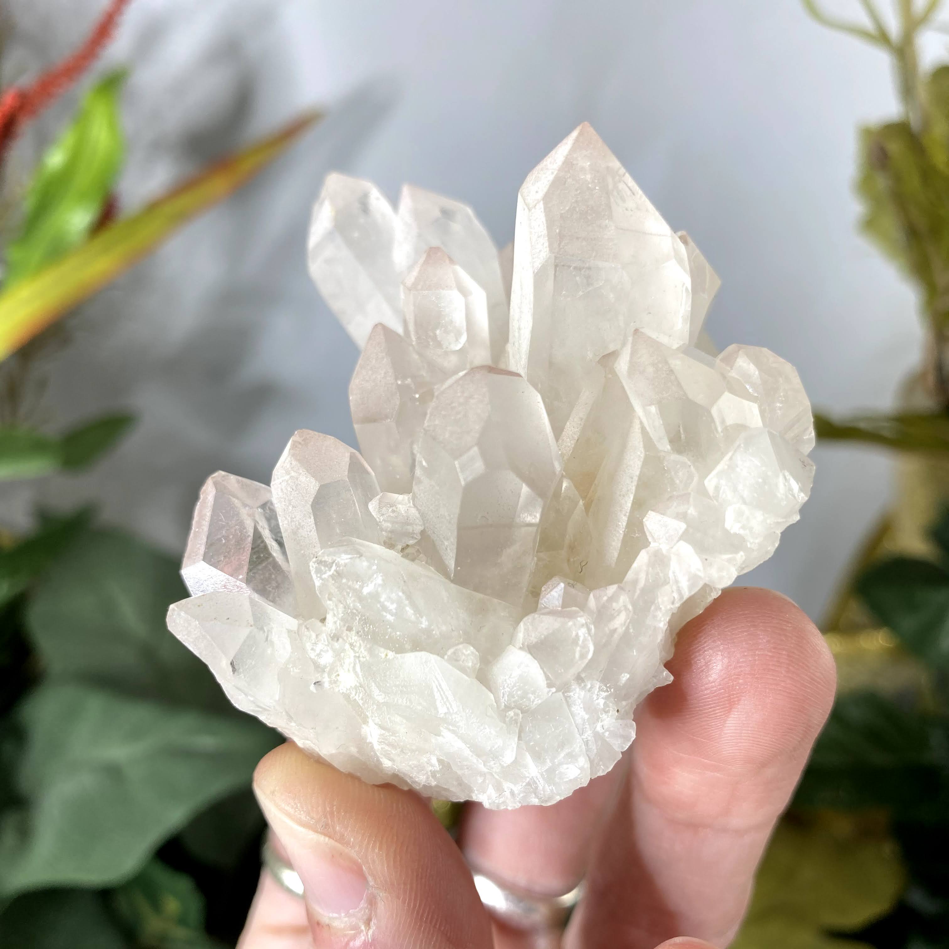 Clear Quartz - Clear Quartz Gorgeous Clusters (one's a little frosty!) (#B145/B146)
