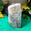 Labradorite - Great Quality Labradorite Flashy Free Form (bits of purple/pink)! (B393)