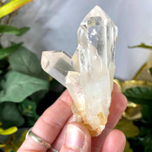 Load image into Gallery viewer, Clear Quartz - Clear Quartz Gorgeous Heavenly Cluster! (B152)