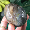 Ocean Jasper Polished Egg, Soothing Colors!