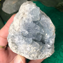 Load image into Gallery viewer, Celestite- XLarge Raw Crystal Cluster!