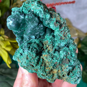 Malachite - Gorgeous Fibrous Malachite Mineral Display Specimen (C231)!