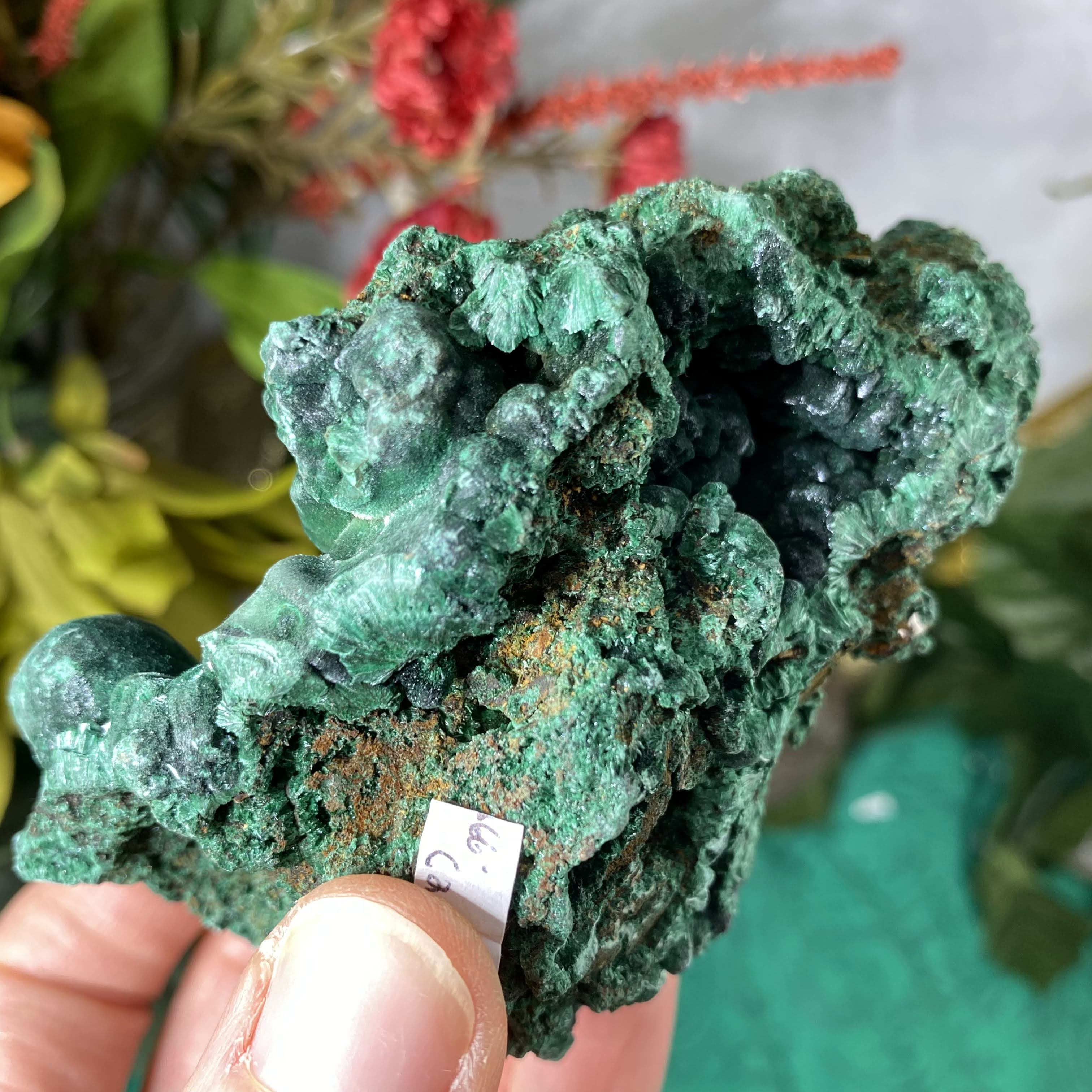 Enchanted Earth Minerals