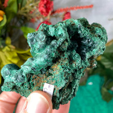 Load image into Gallery viewer, Malachite - Gorgeous Fibrous Malachite Mineral Display Specimen (C231)!