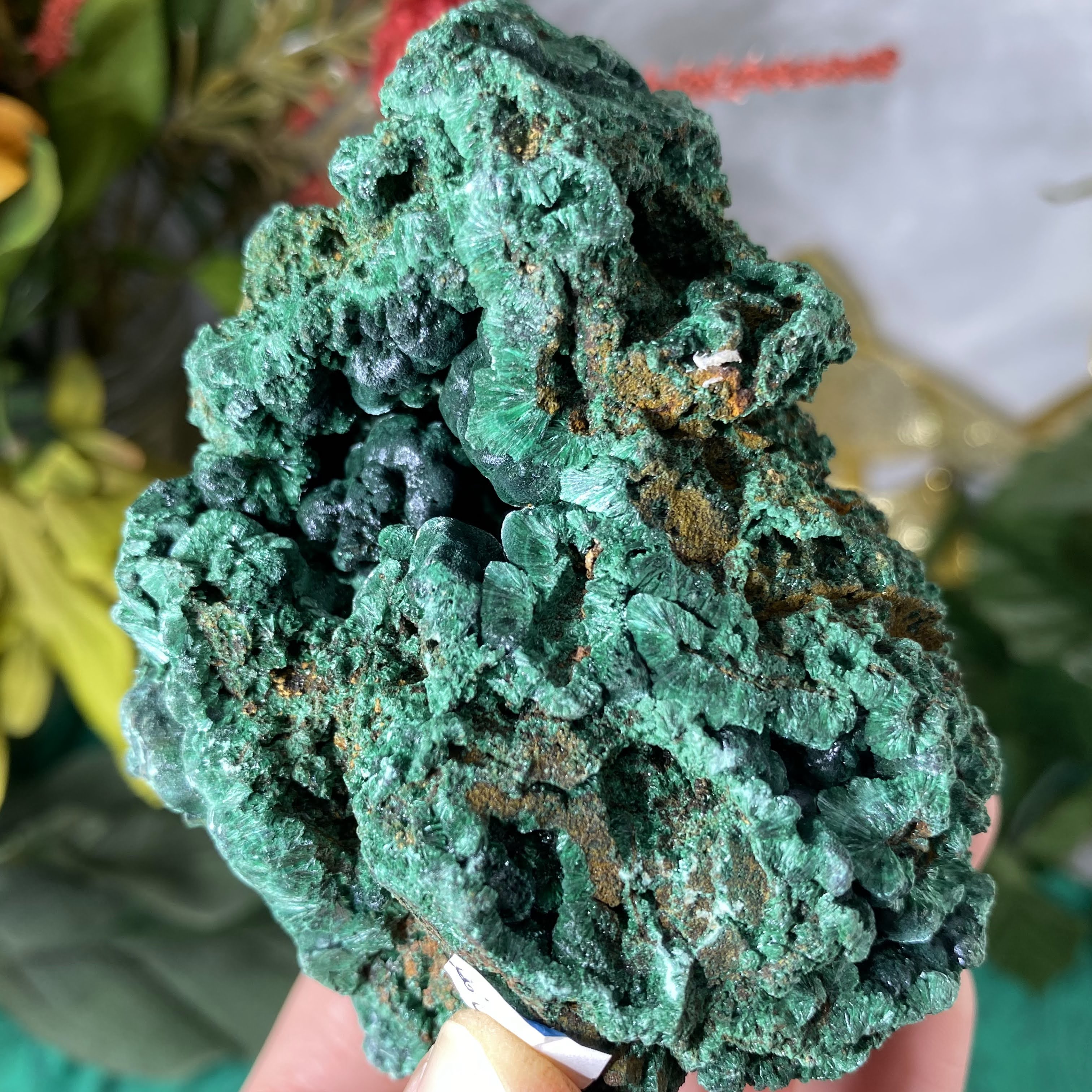 Enchanted Earth Minerals