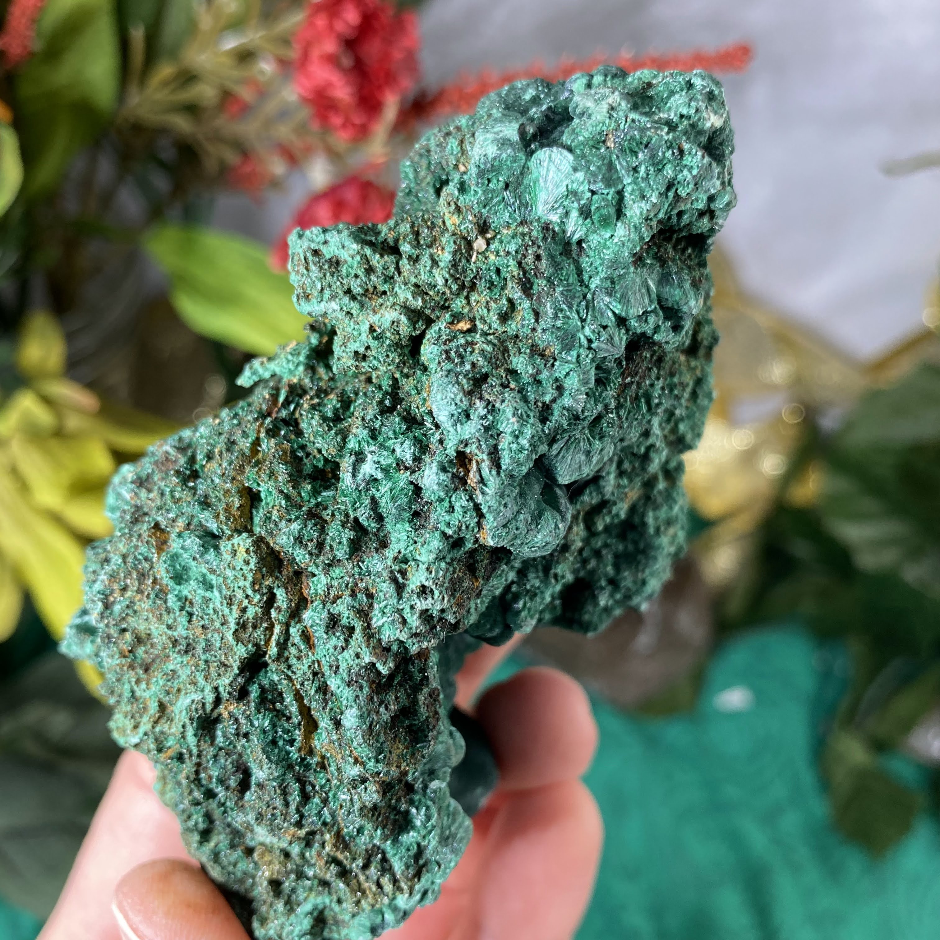 Enchanted Earth Minerals