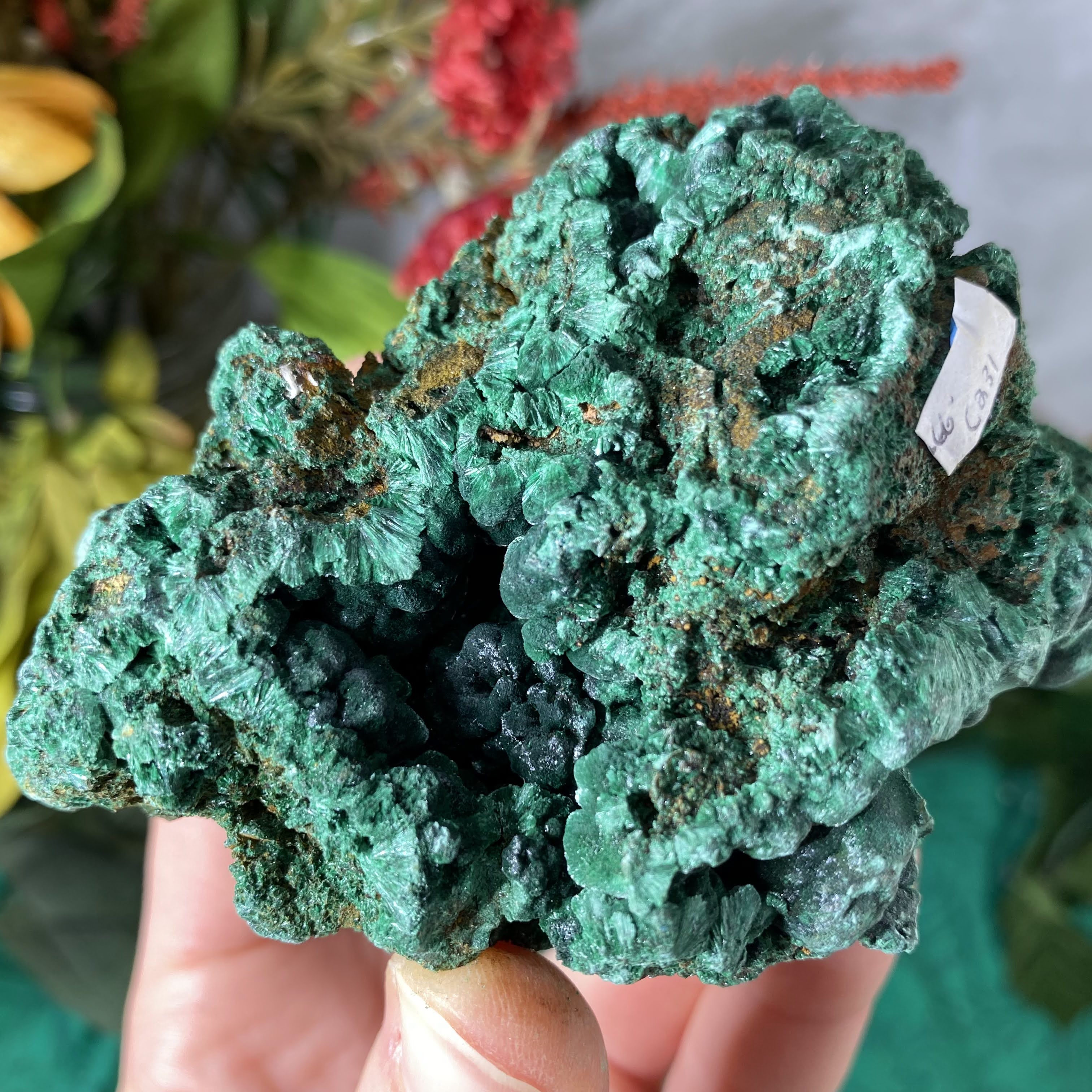 Enchanted Earth Minerals