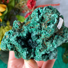 Load image into Gallery viewer, Malachite - Gorgeous Fibrous Malachite Mineral Display Specimen (C231)!
