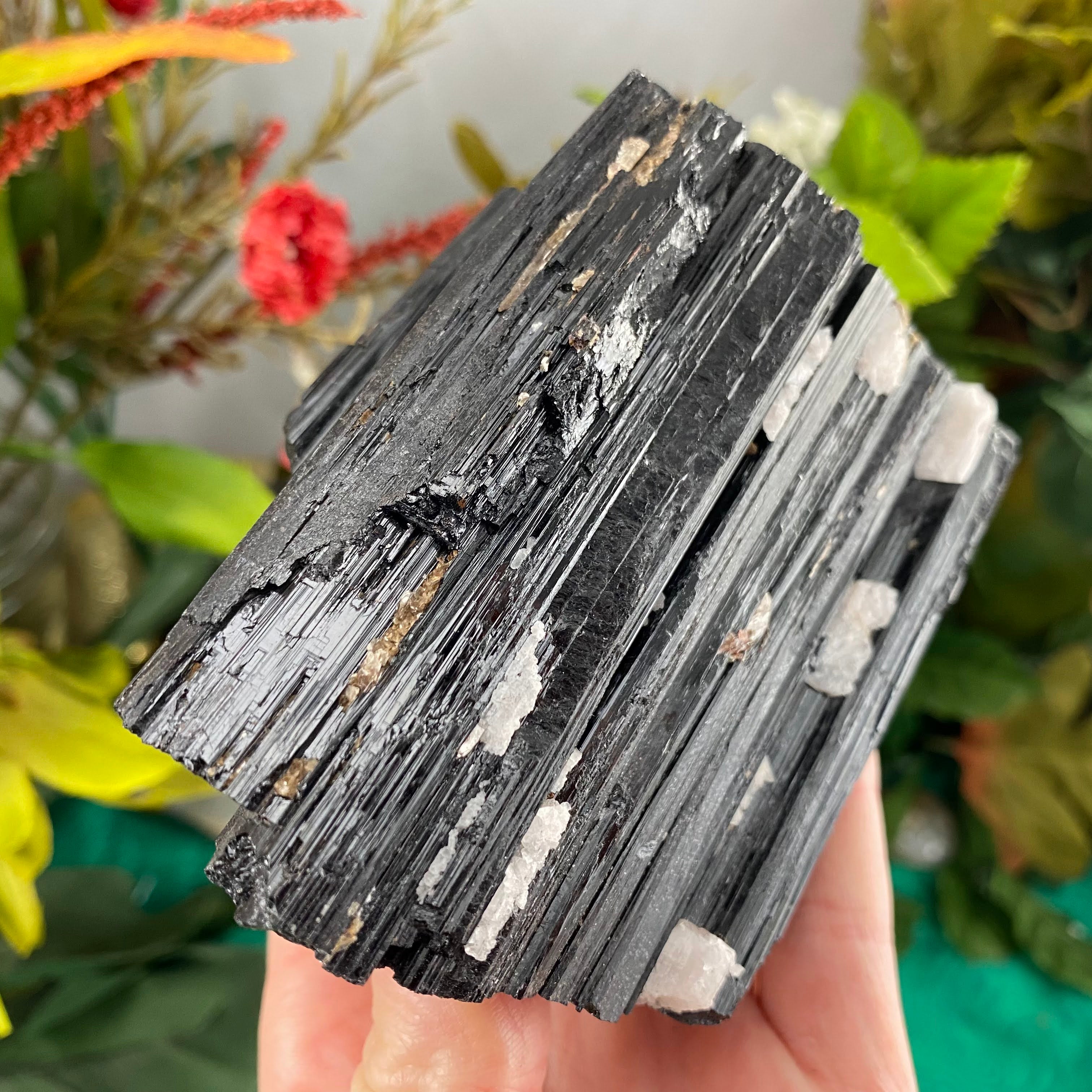 Black Tourmaline (schorl) - Big Chunky Black Tourmaline Specimen with Mica & Quartz! C474