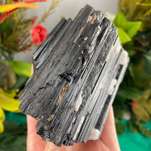 Load image into Gallery viewer, Black Tourmaline (schorl) - Big Chunky Black Tourmaline Specimen with Mica &amp; Quartz! C474