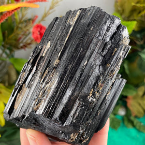 Black Tourmaline (schorl) - Big Chunky Black Tourmaline Specimen with Mica & Quartz! C474
