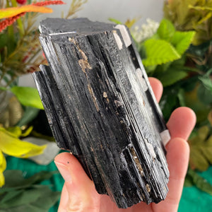 Black Tourmaline (schorl) - Big Chunky Black Tourmaline Specimen with Mica & Quartz! C474