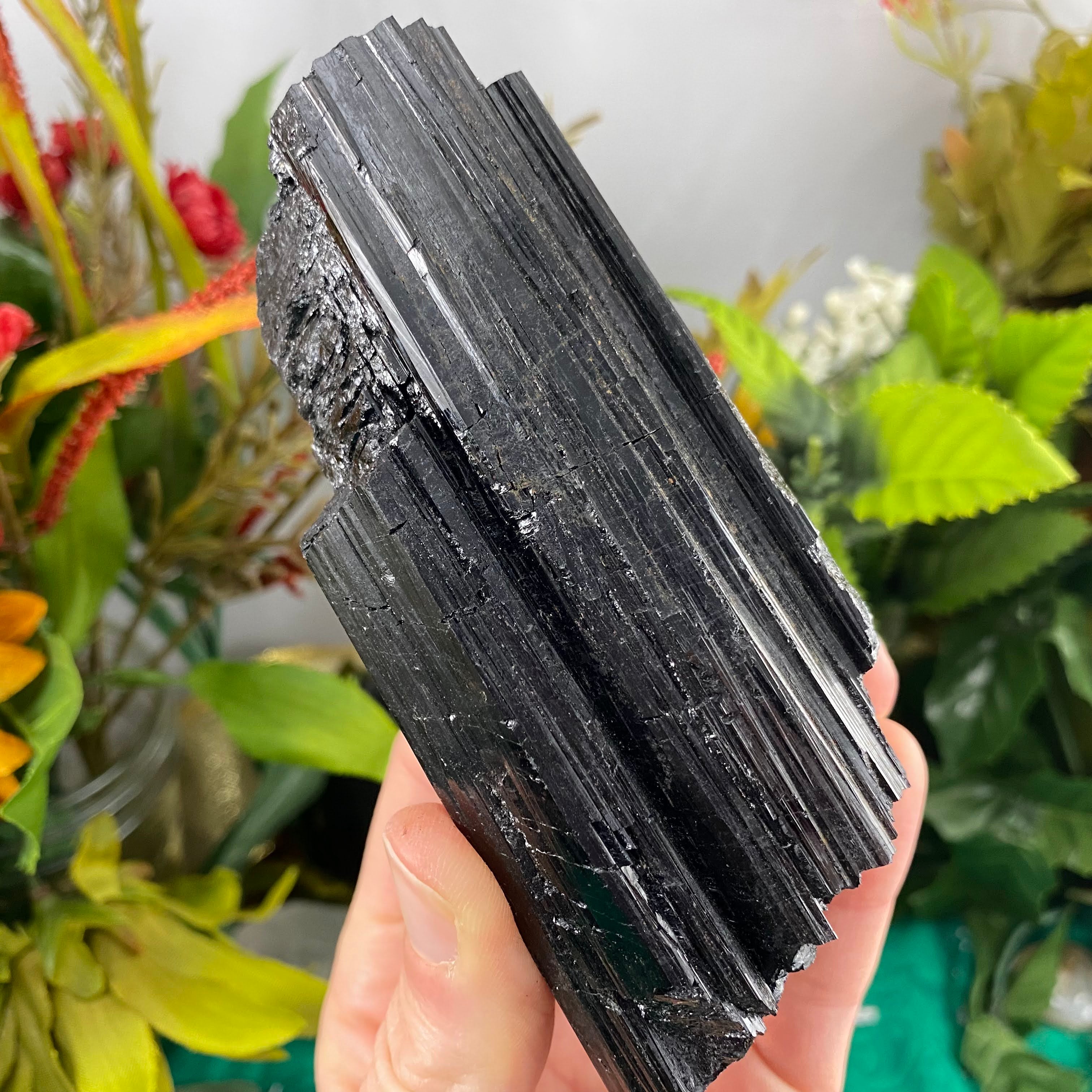 Black Tourmaline (schorl) - Big Black Tourmaline Specimen! C471