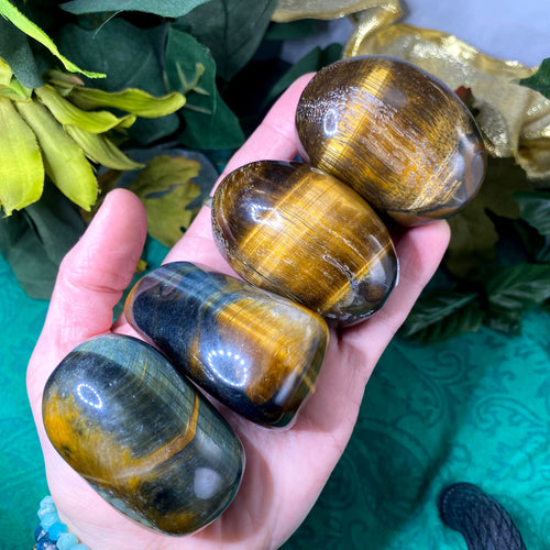 Tiger Eye - XL Tiger Eye Palm Stone! Some with Blue! (B530/B531/B532/B533)