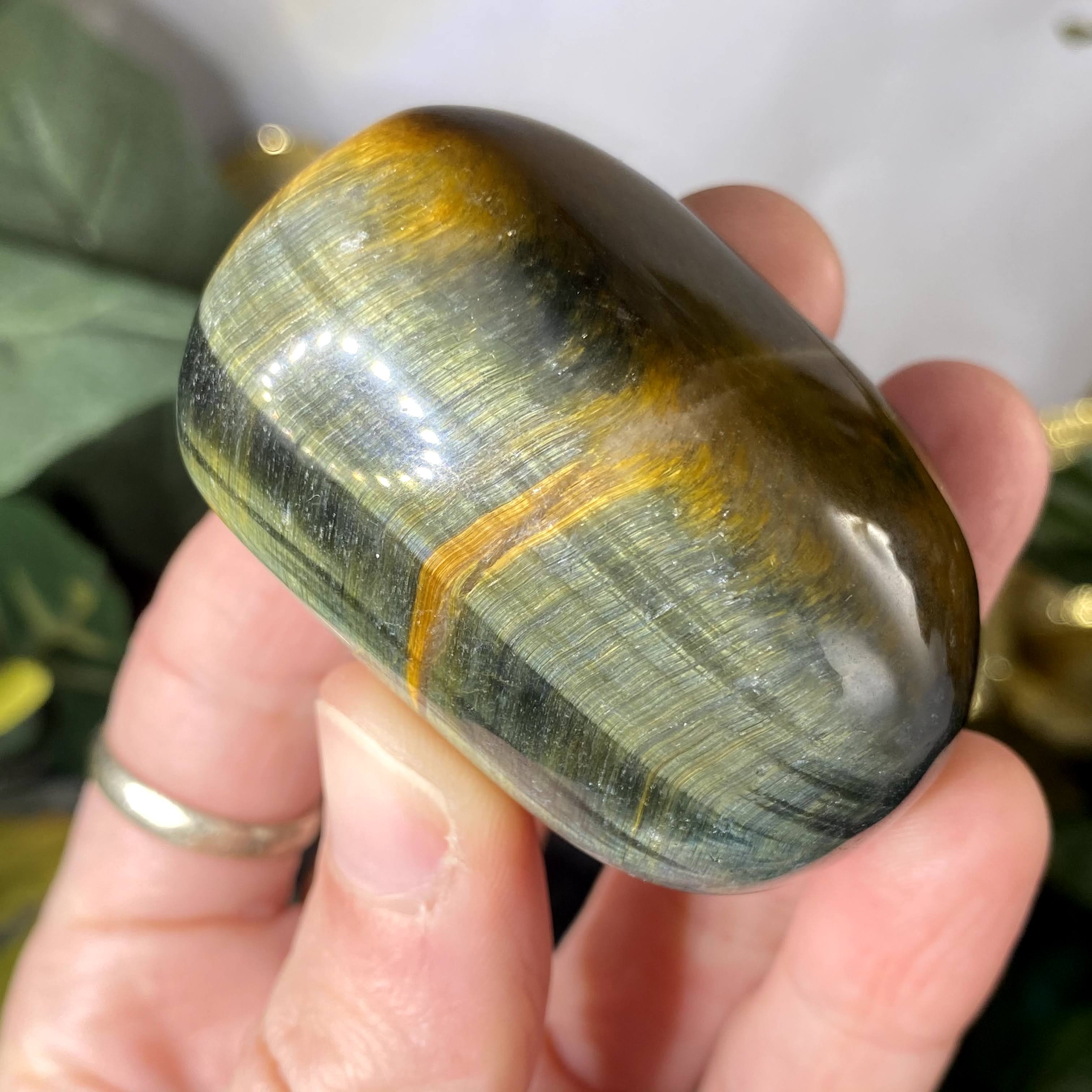 Tiger Eye - XL Tiger Eye Palm Stone! Some with Blue! (B530/B531/B532/B533)