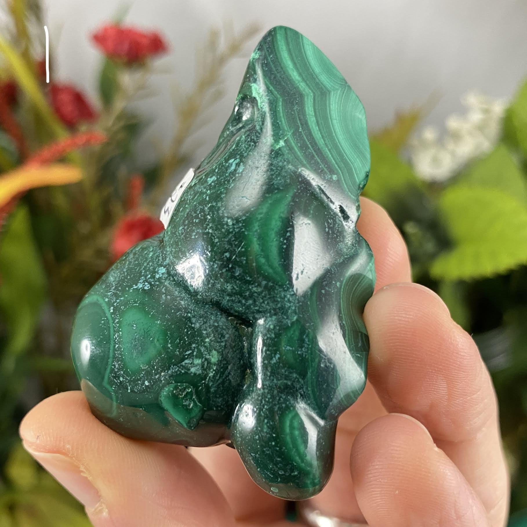 Malachite - Lovely Polished Malachite! (B233/B234/B236)!