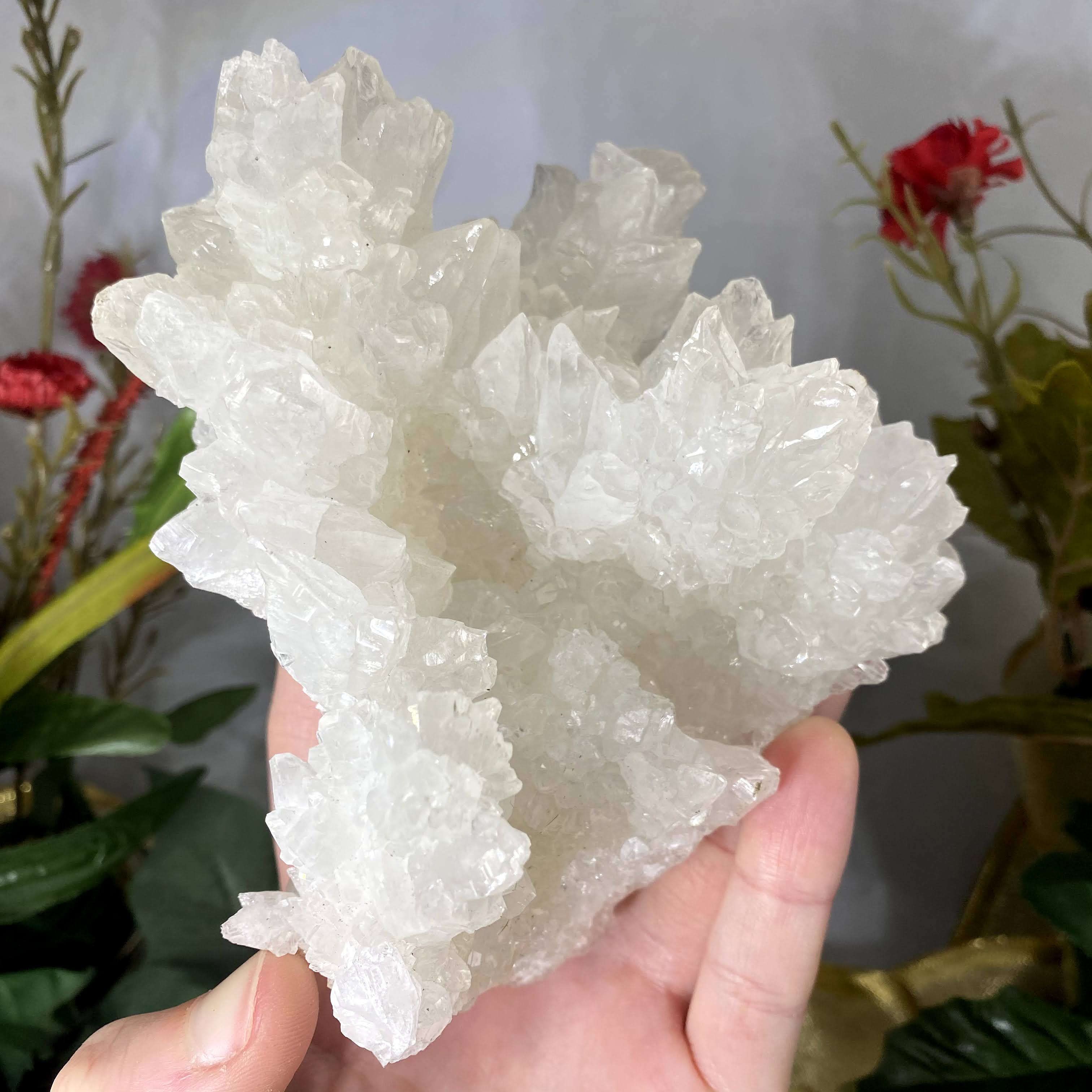 Aragonite - Aragonite "Cave Calcite" Mineral Specimen Large Heavenly Beauty! A509