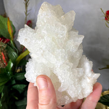 Load image into Gallery viewer, Aragonite - Aragonite &quot;Cave Calcite&quot; Mineral Specimen Large Heavenly Beauty! A509