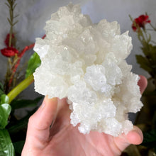 Load image into Gallery viewer, Aragonite - Aragonite &quot;Cave Calcite&quot; Mineral Specimen Large Heavenly Beauty! A510