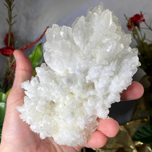 Aragonite - Aragonite "Cave Calcite" Mineral Specimen Large Heavenly Beauty! A510