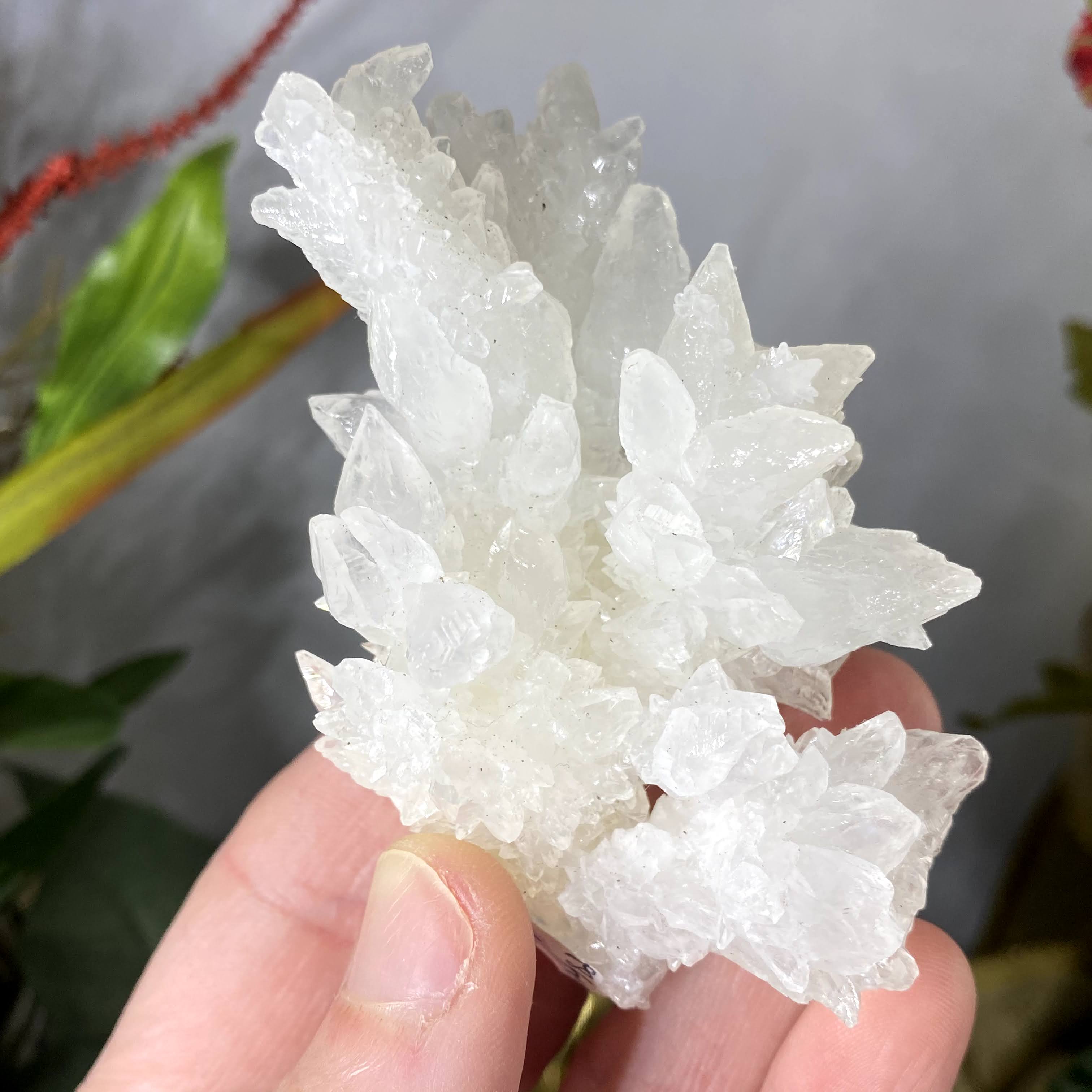 Aragonite - Aragonite "Cave Calcite" Mineral Specimens Heavenly Beauties! (A482/A489/A496/B296)