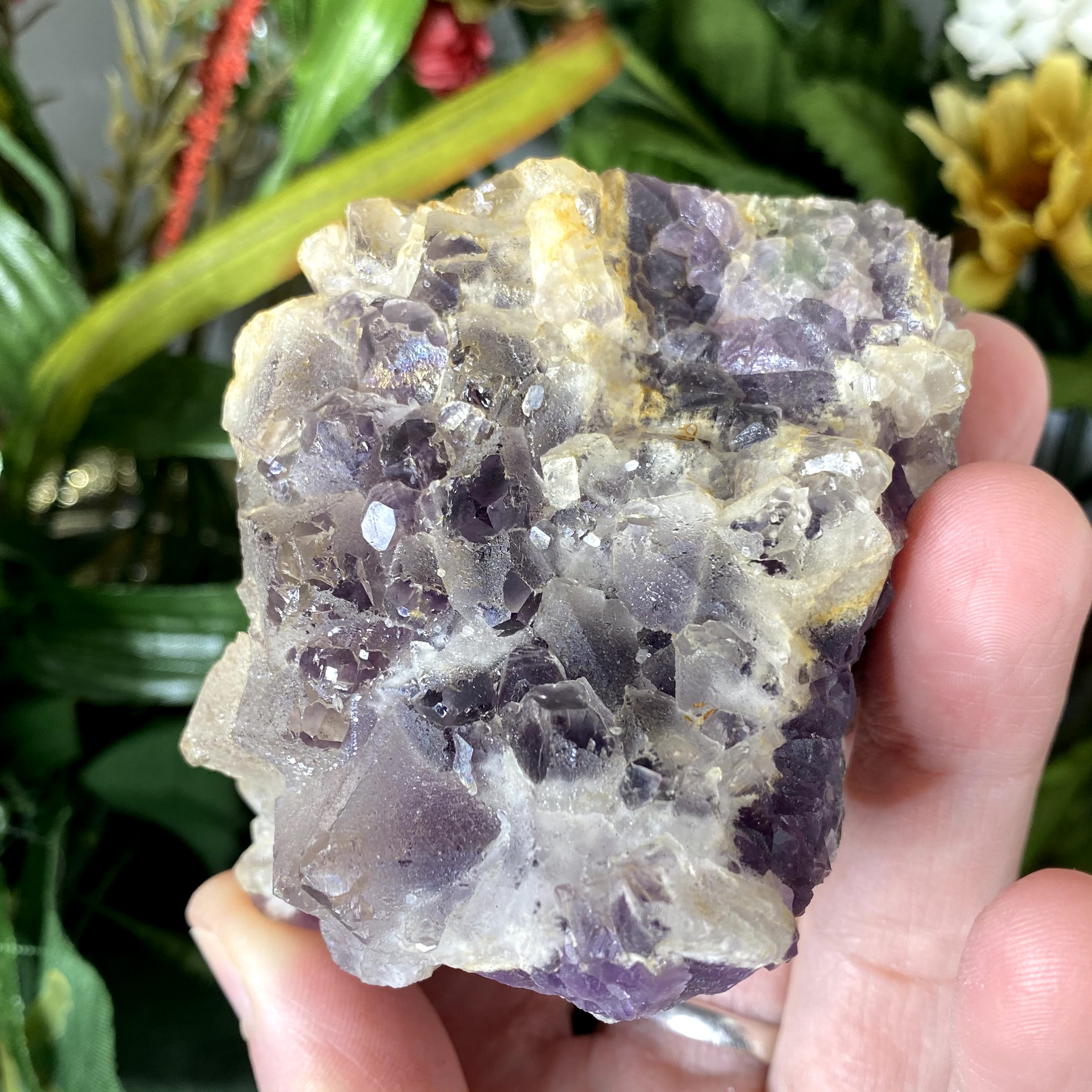 Fluorite - Wild Purple with a Hint of Green Fujian Fluorite Specimen! (841)