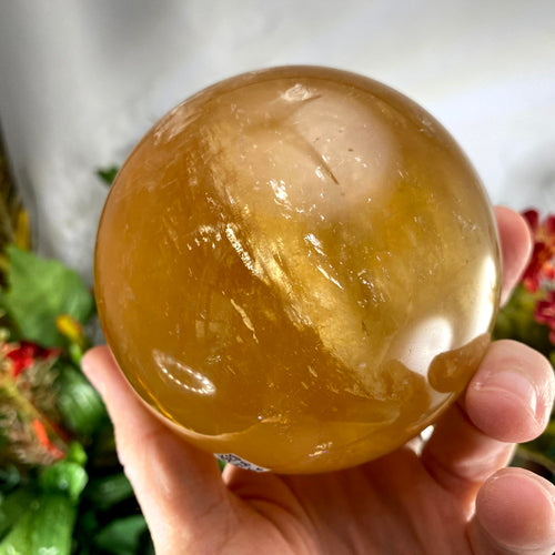 Calcite - Honey Calcite Big Beauty Sphere 87mm (B351)