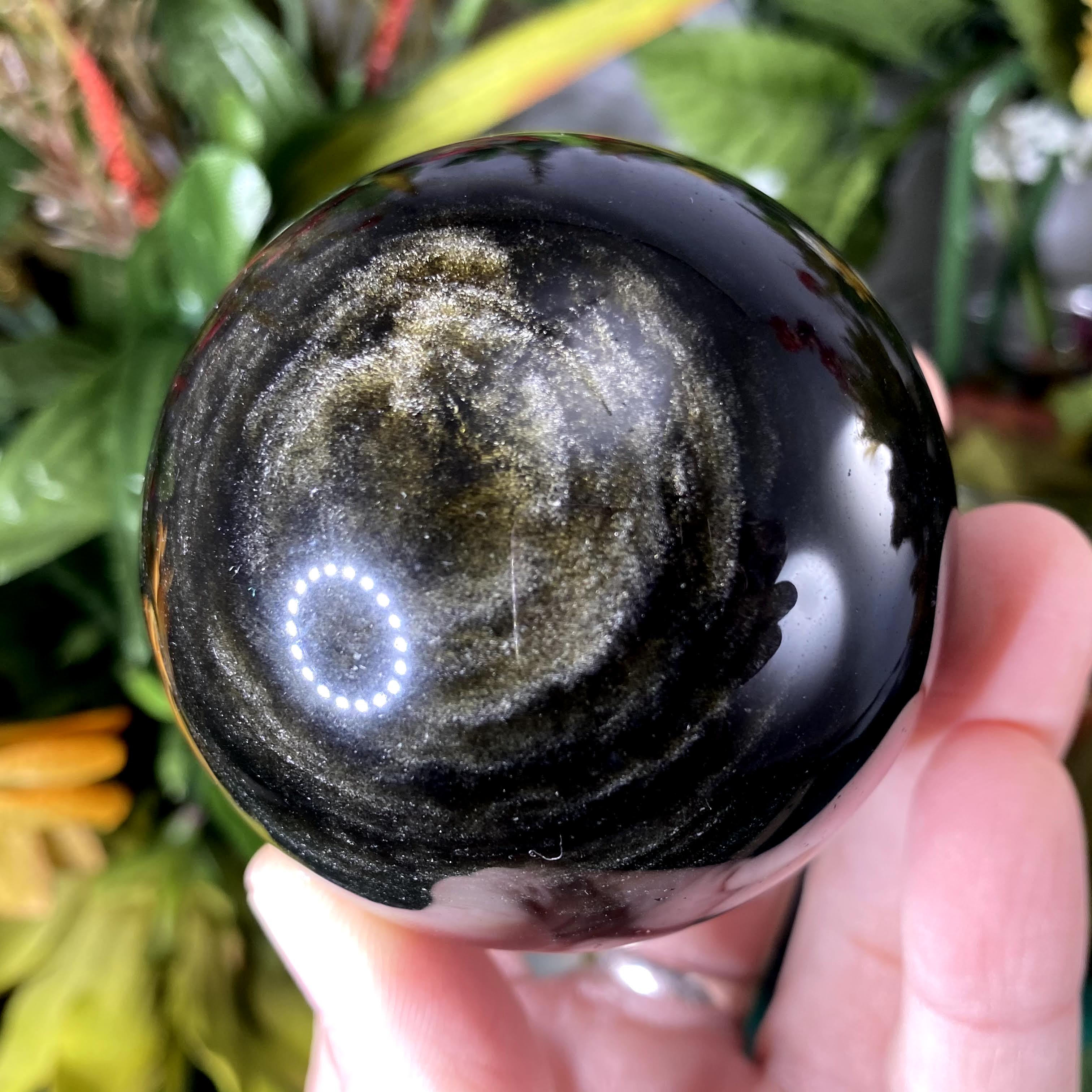 Obsidian - Gold Sheen Obsidian Sphere! A372 61mm