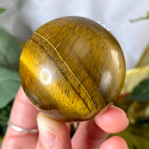 Tiger Eye - Tiger Eye 49mm Flashy Sphere! A377