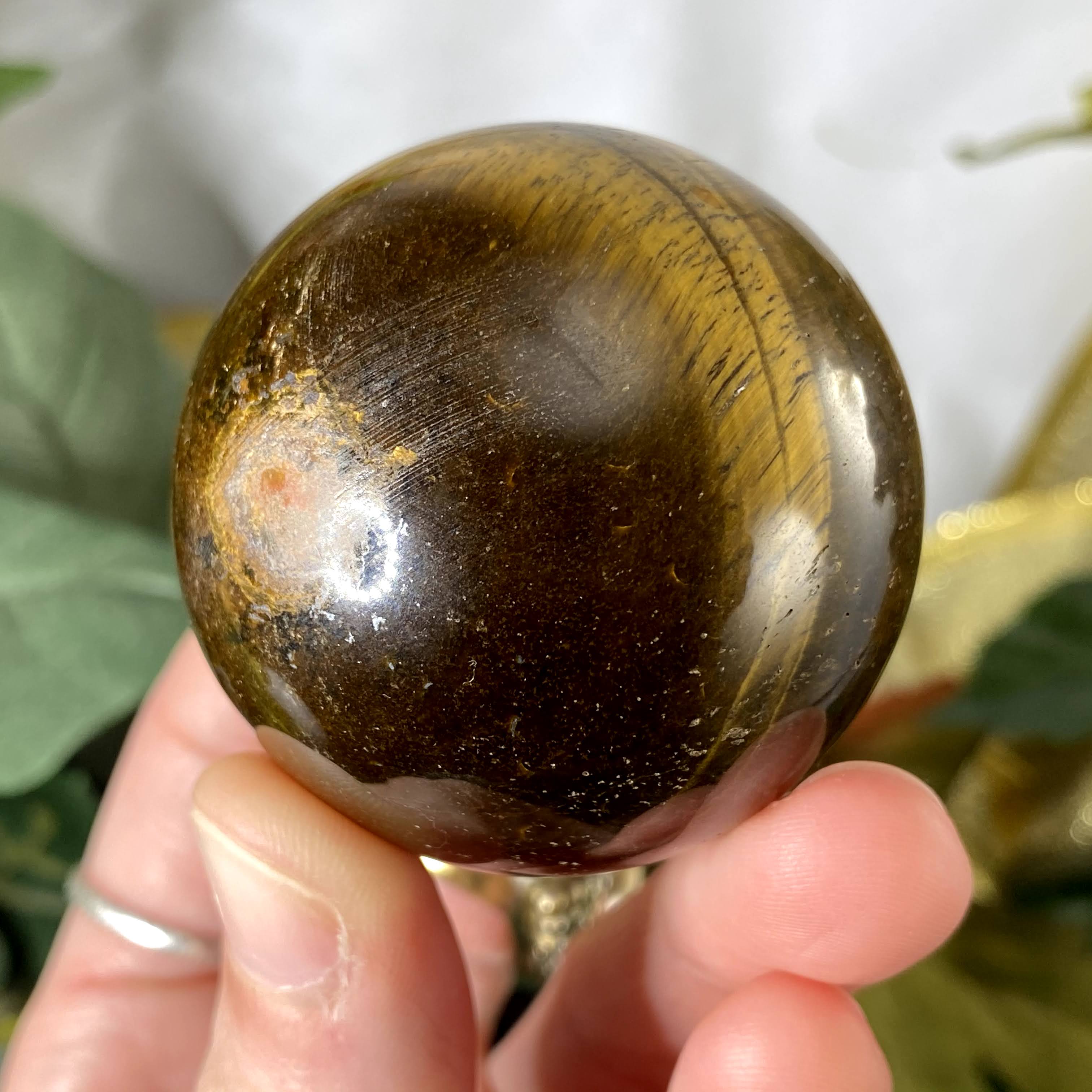 Tiger Eye - Tiger Eye 49mm Flashy Sphere! A377