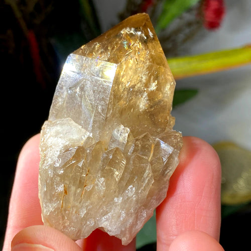 Citrine - Natural Congo 