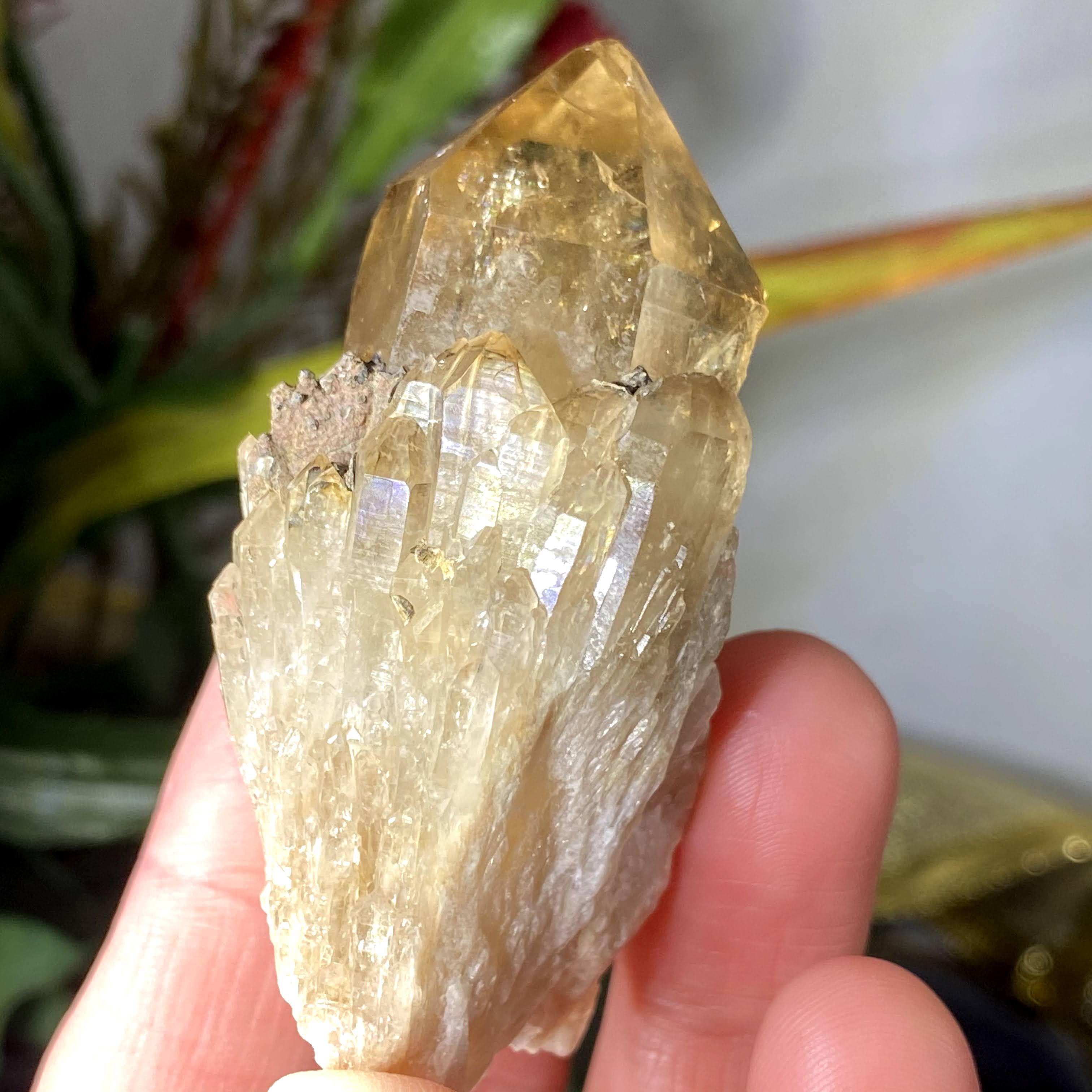 Citrine - Natural Congo "Kundalini Citrine" Cathedral Point with Beautiful Crystals and Phantom! (#412)